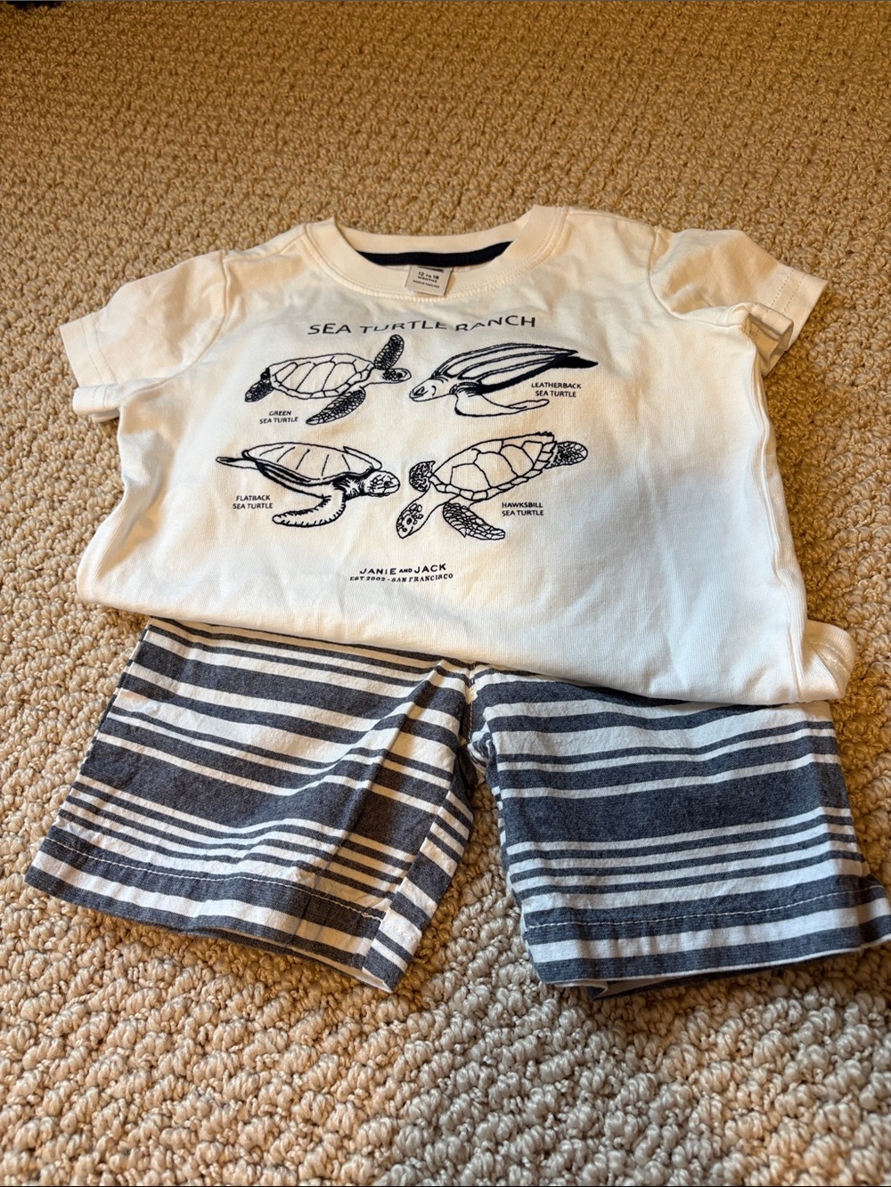 Janie and Jack White Tee with Navy Sea Turtle Graphic & Gray Shorts 12-18 M